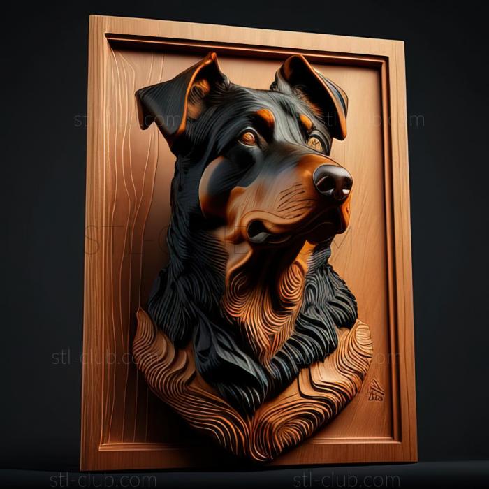 3D model st Beauceron dog (STL)